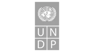 Das Logo des Entwicklungsprogramms der Vereinten Nationen.